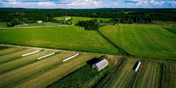 Estudios de suelos agrícolas en el Gironès
