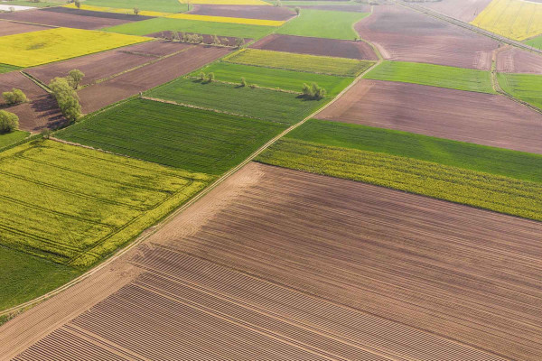 Estudios Edafológicos · Ingenieros Geotécnicos y Geofísicos Salt